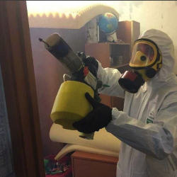 Уничтожение клопов в квартире. Отрадное